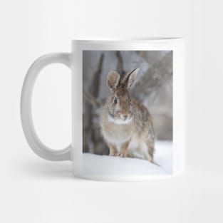 Eastern Cottontail Mug